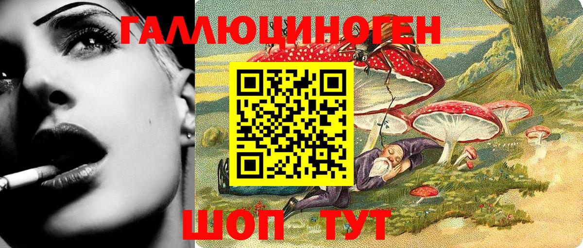 Псилоцибиновые грибы Psilocybe Донской